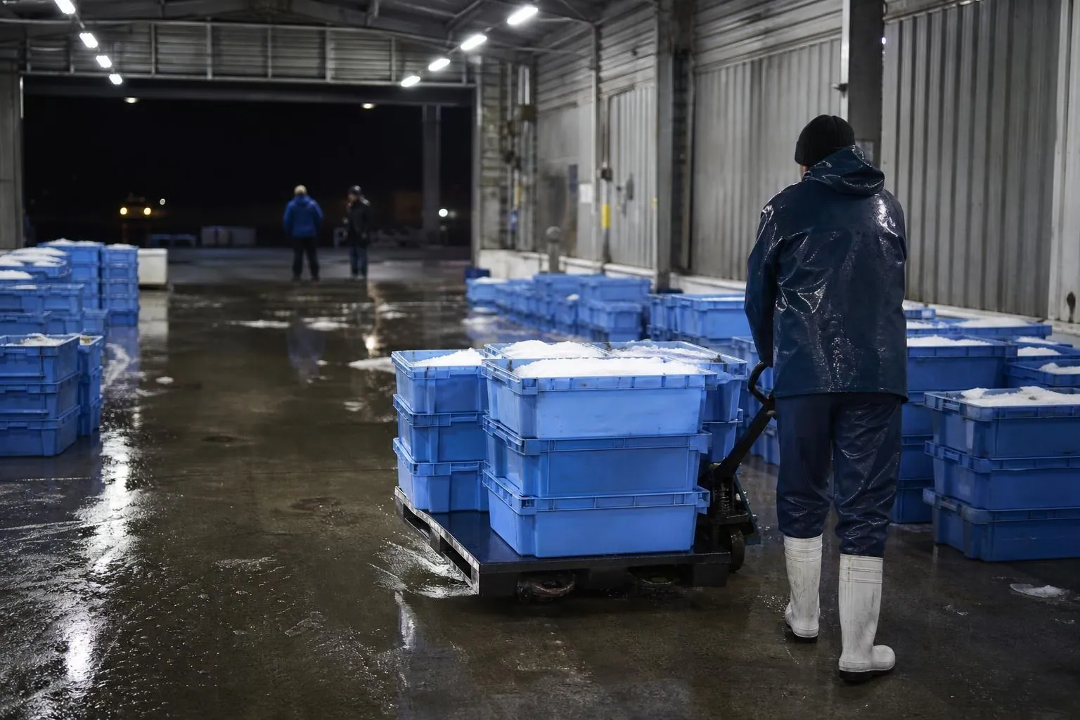 Quai de criée à l’aube avec des caisses bleues empilées et un mareyeur en ciré poussant un transpalette sous les néons du hall